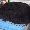 Fine Black ground cover