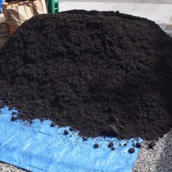 Fine Black ground cover