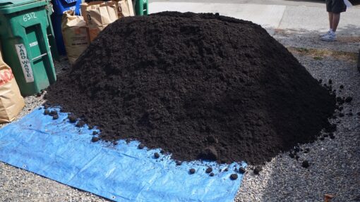 Fine Black ground cover