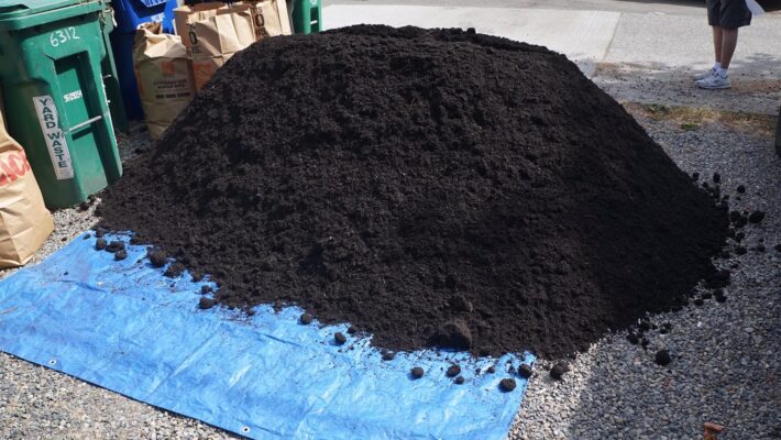 Fine Black ground cover