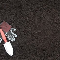 Darker hemlock and fir bark