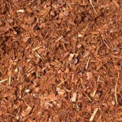 Dark Medium Hemlock & Fir bark