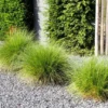 Pea Gravel