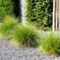 Pea Gravel