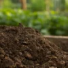 Garden Mix - Turf Mix