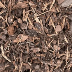 Bark